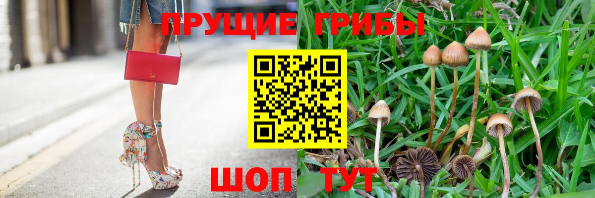 Псилоцибиновые грибы Magic Shrooms  Галлюциногенные грибы Psilocybe  Вход с VPN  Краснотурьинск 
